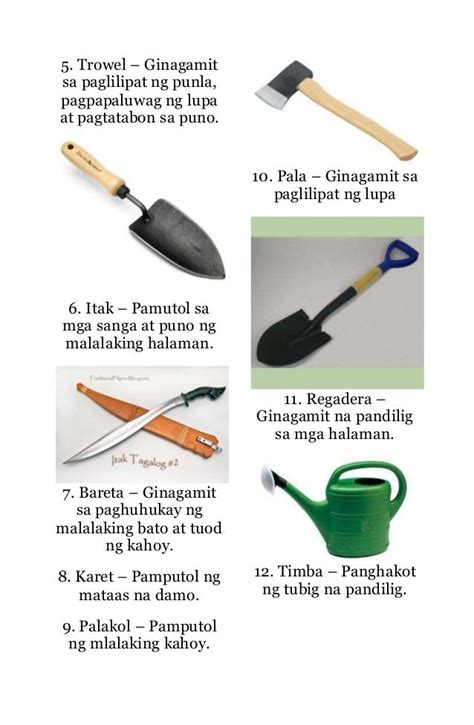 pagtatanim in english|PAGTATANIM: Definition of the Tagalog word pagtatanim in .